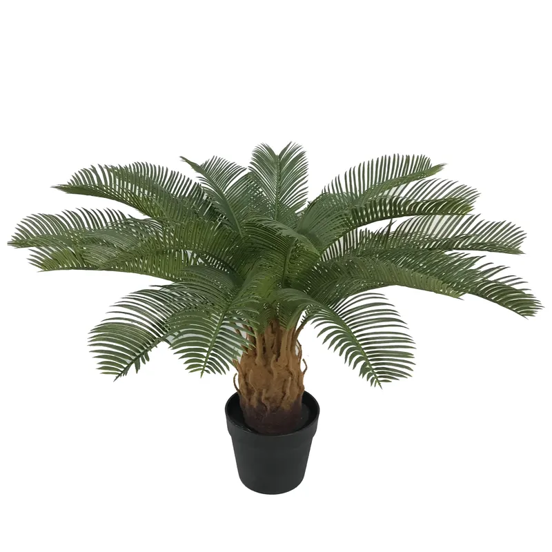 Artificial Cycas Sago Bonsai P - Home Decor Handicraft review and price