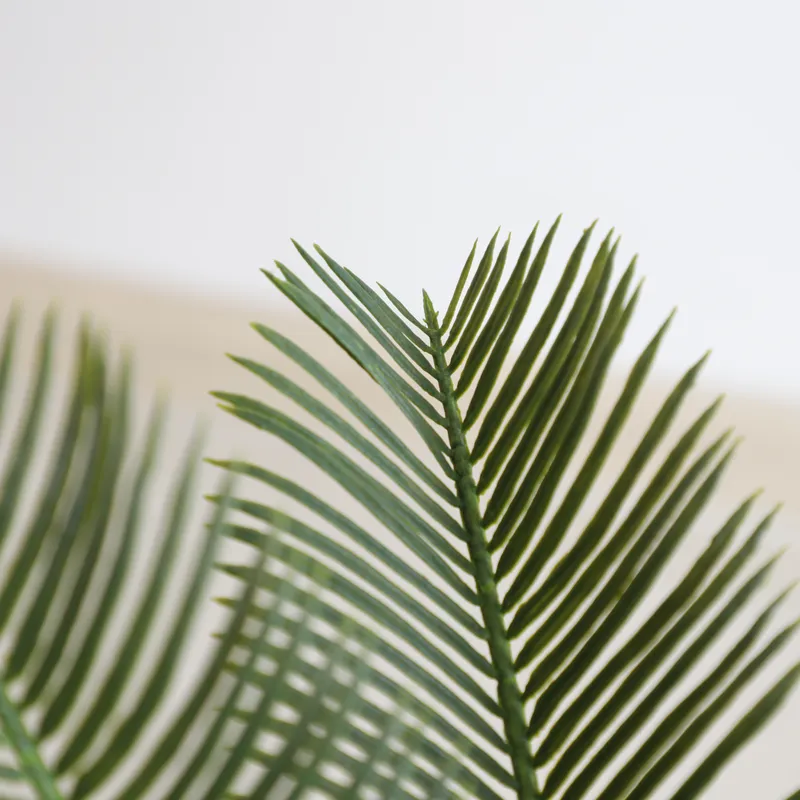 Artificial Cycas Sago Bonsai P - Home Decor Handicraft review and price