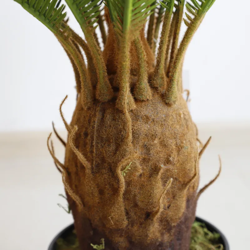 Artificial Cycas Sago Bonsai P - Home Decor Handicraft review and price