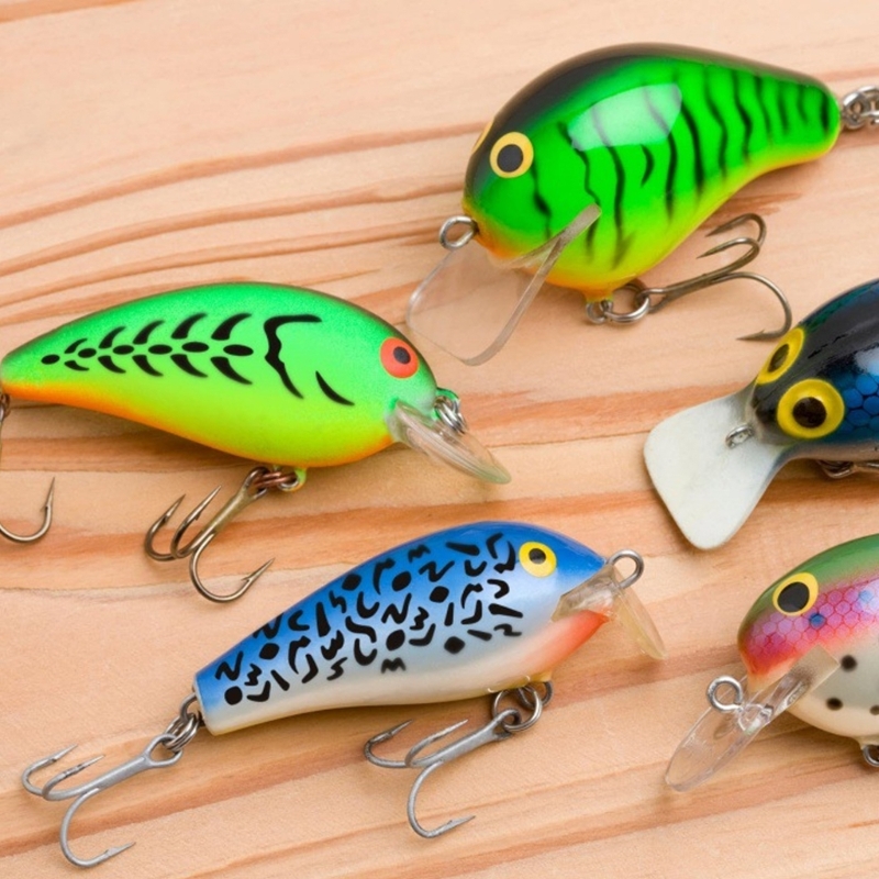  6Pcs Fishing Lure Drawing Tem - Home Decor Scrap review and price