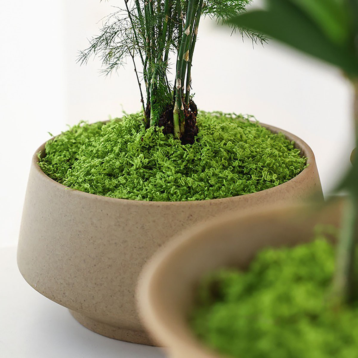 About 20g Artificial Green Pla - Home Decor Handicraft review and price