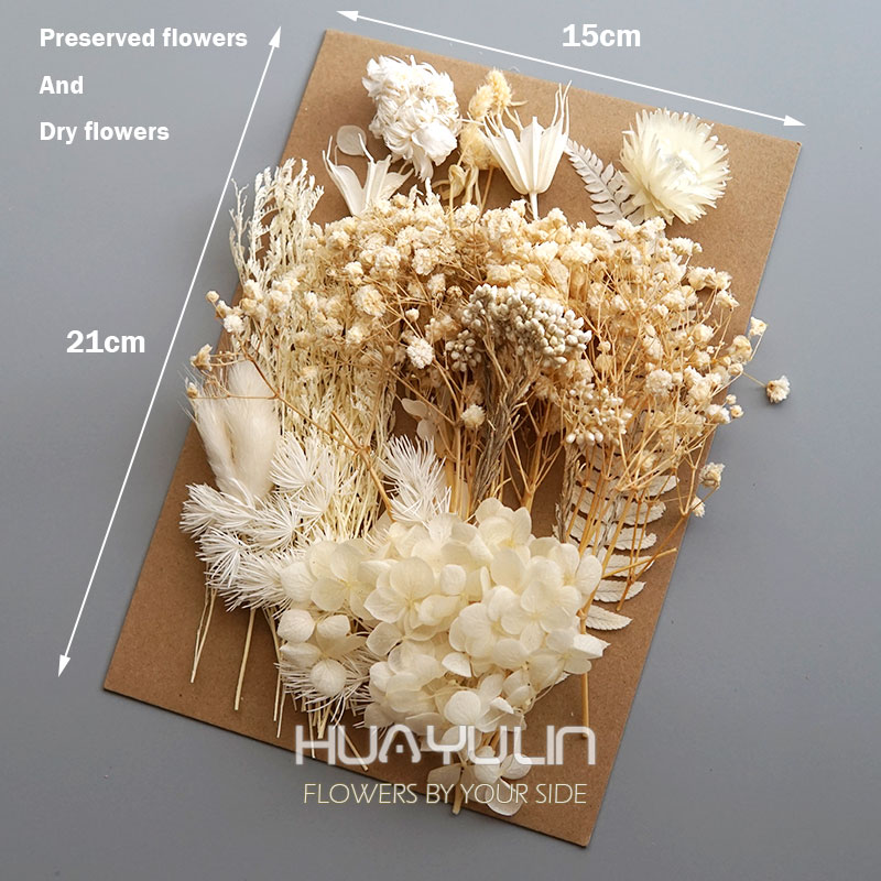 1 Pack Artificial Plants Dried - Home Decor Handicraft review and price